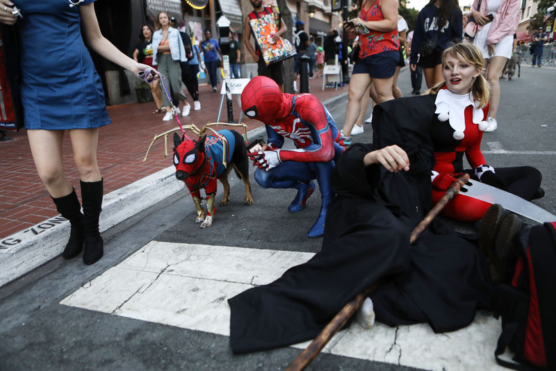 There’s multiple good cosplays in this picture, but there is also THE IRON SPIDER-DOG.